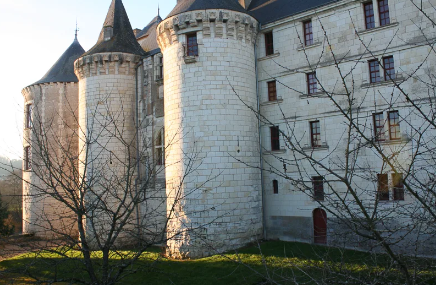Château de la Guerche, Guerche, France